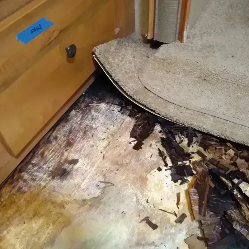 Wood Floor Water Damage in Window Rock, AZ